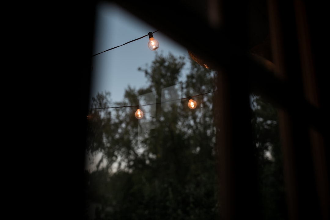 Photo Garden lights