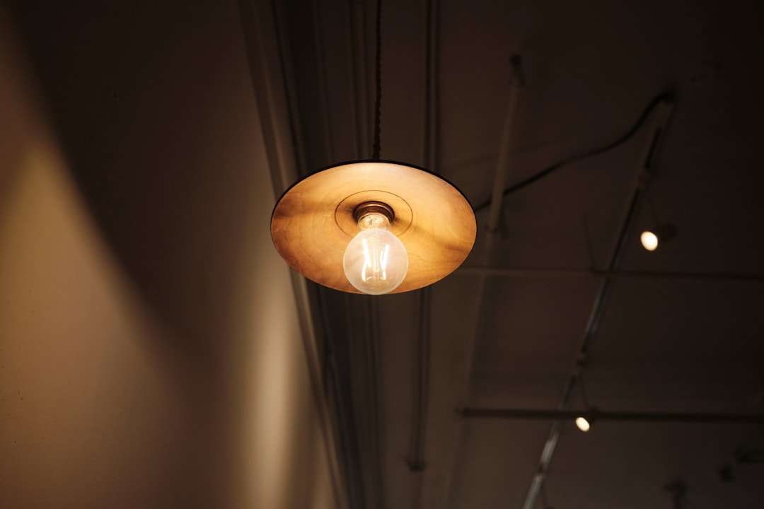 Photo hamburger ceiling light