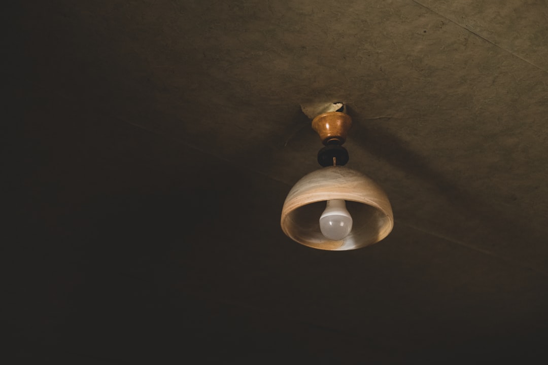 Photo ceiling lamp